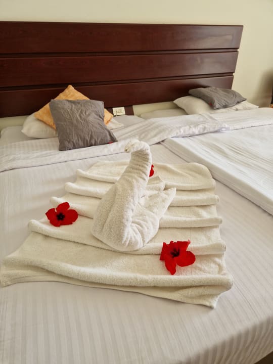 Zimmer Three Corners Equinox Beach Resort