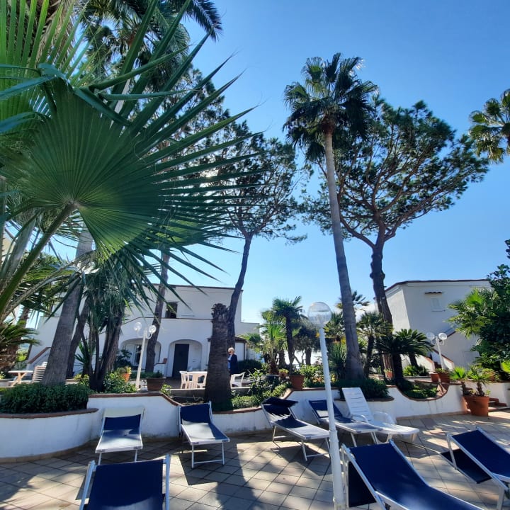 Gartenanlage Hotel Terme Royal Palm