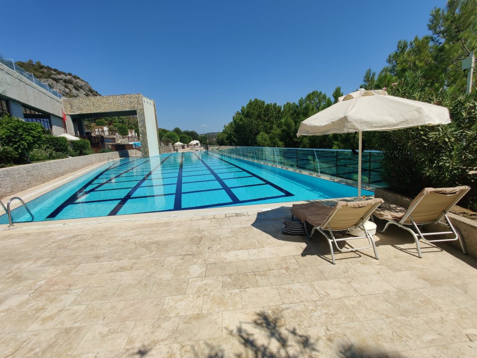 Pool TUI BLUE Seno - Adults Only