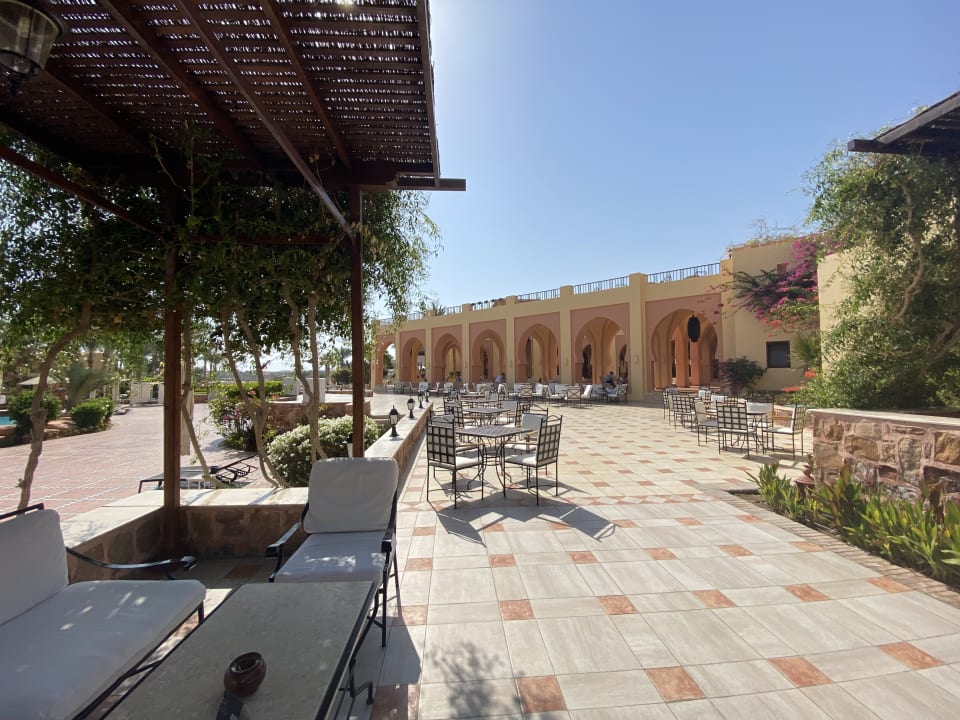 Gastro Steigenberger Coraya Beach - Adults only