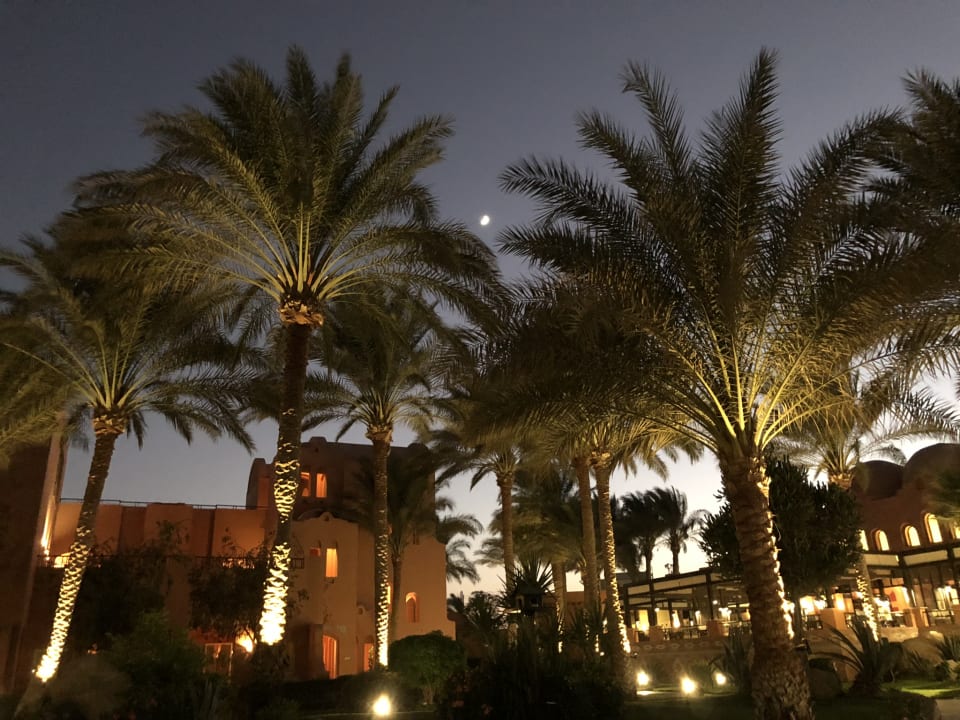 Garten Jaz Makadi Oasis Resort