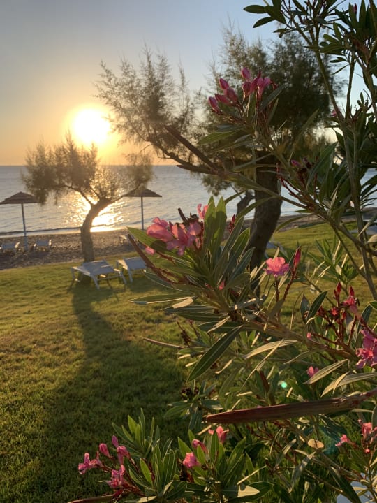 Gartenanlage TUI BLUE Oceanis Beach and Spa Resort