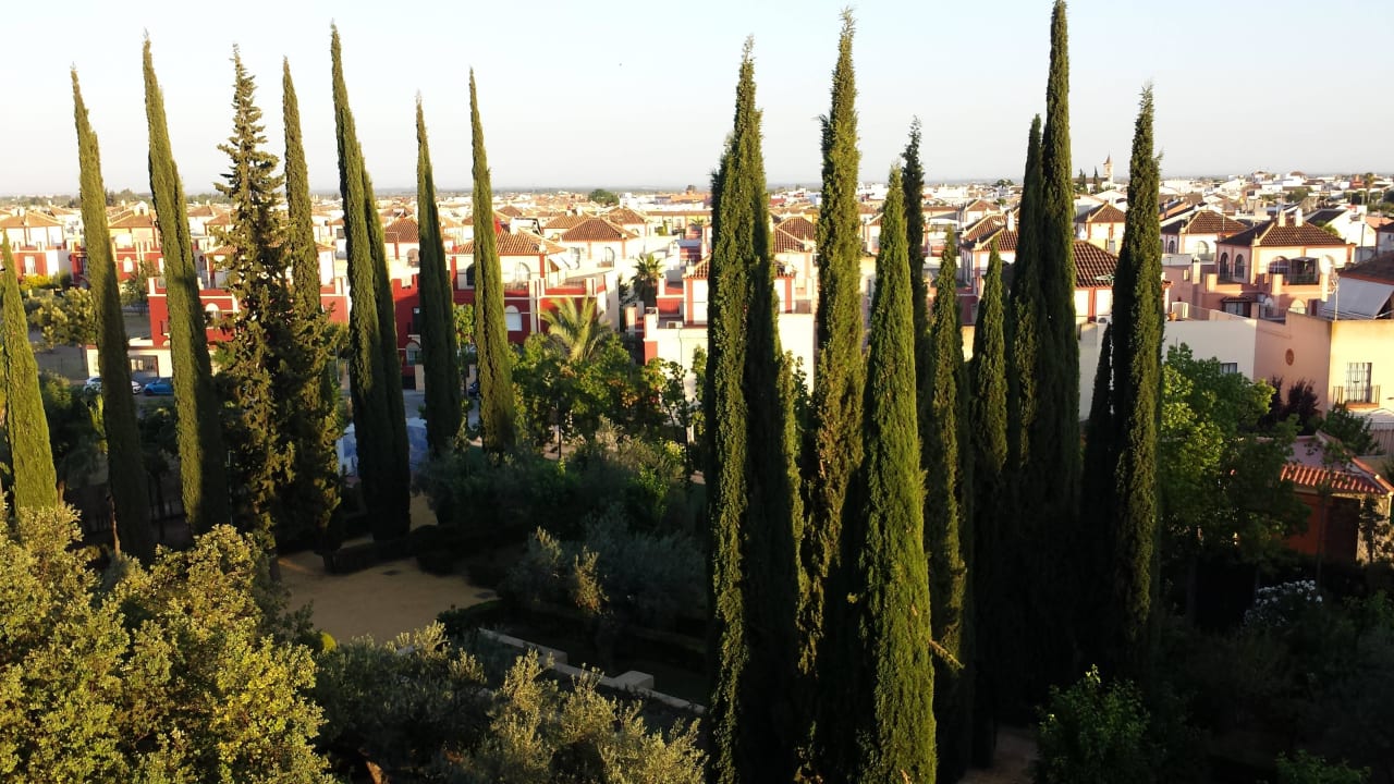 Blick auf den Garten Abades Benacazón Hotel