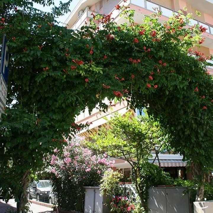 Hotel Madison urlaub vacances holidays vacanze Hotel Madison