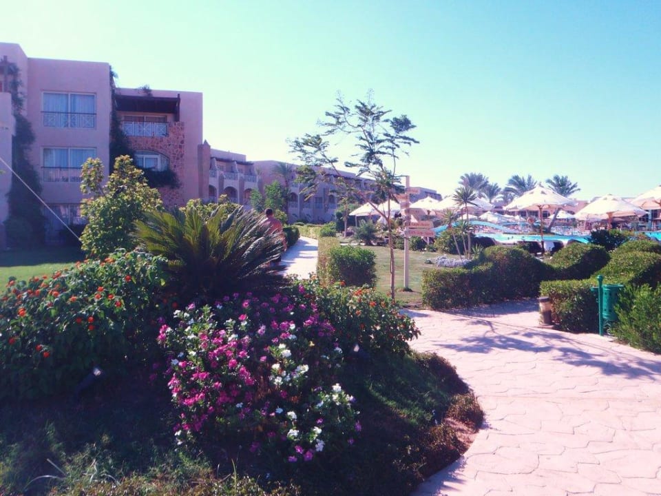 Hotel Prima Life Makadi Bay Prima Life Makadi Resort