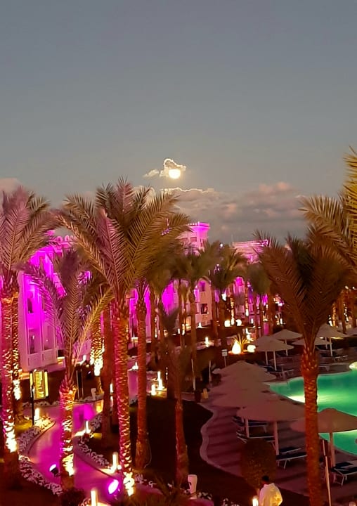 Ausblick Pickalbatros Palace Resort