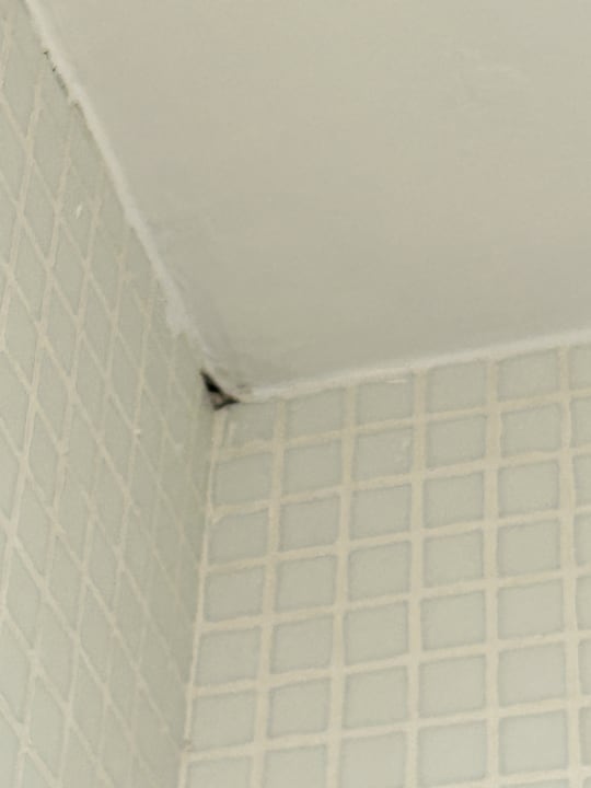 Zimmer MLL Palma Bay Club Resort