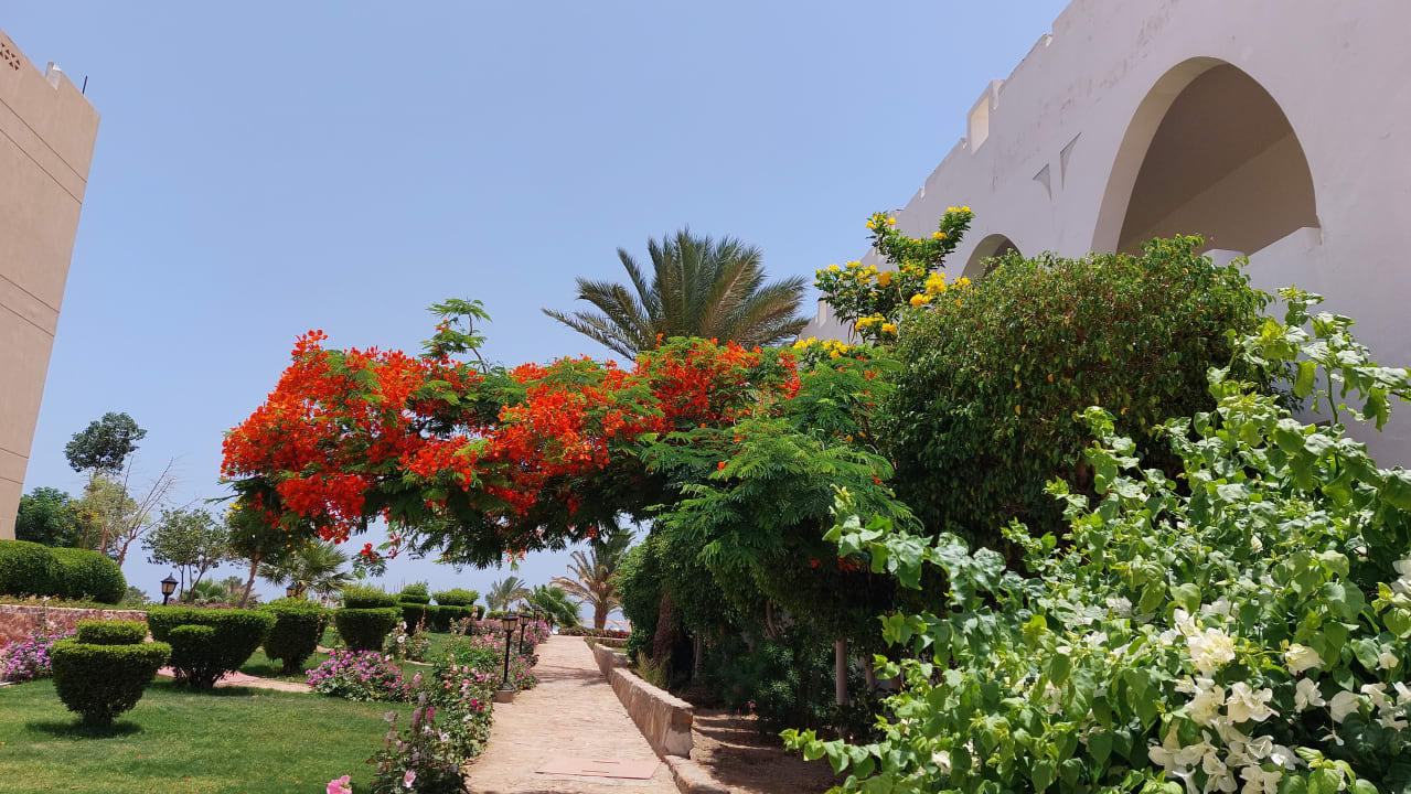 Gartenanlage Three Corners Equinox Beach Resort