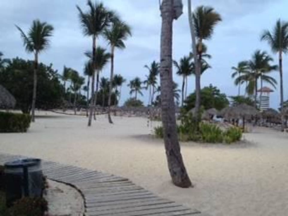 Weg zum Strand Iberostar Selection Hacienda Dominicus