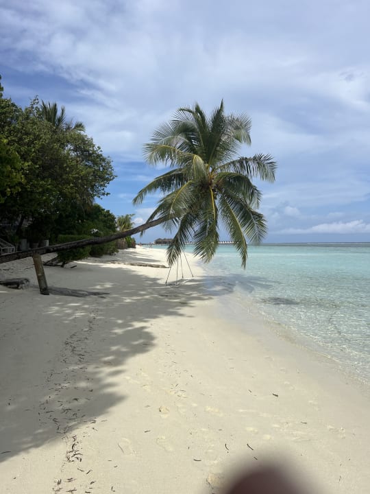 Strand LUX South Ari Atoll
