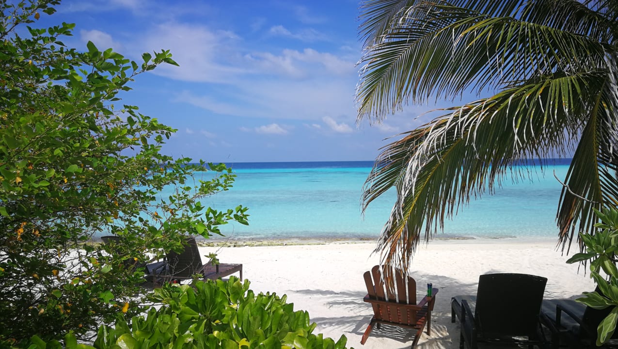 Strand Summer Island Maldives