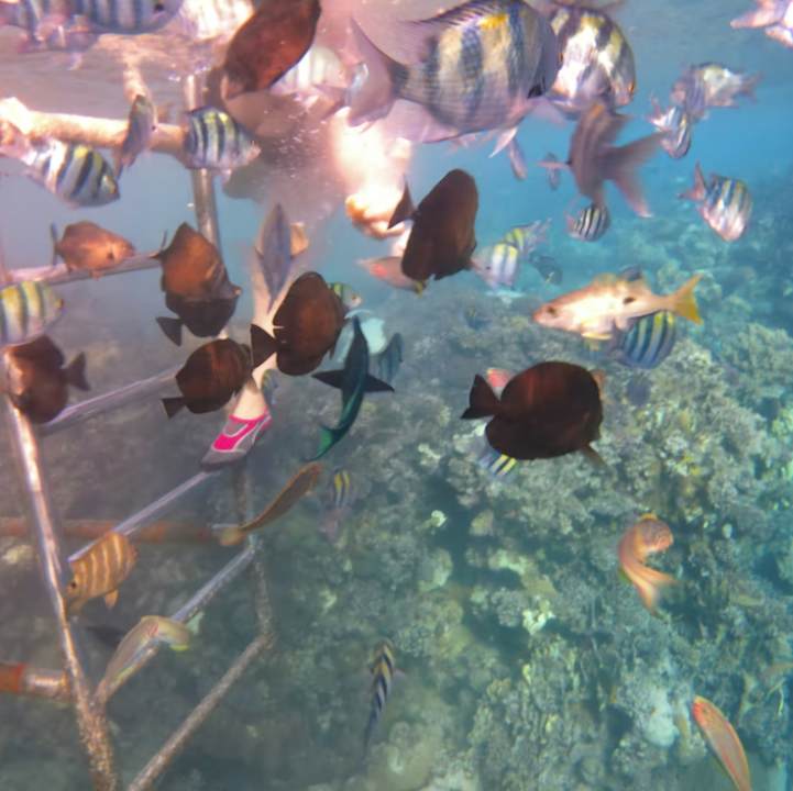 Strand Casa Mare Resort