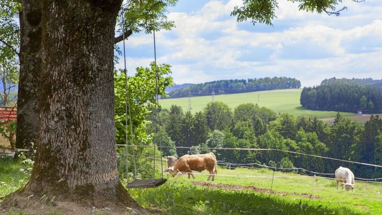 Garten und Kuhweide  Naturhotel Gidibauer Hof