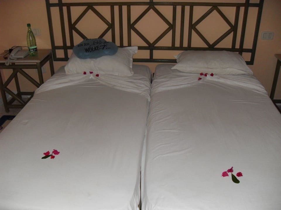 immer unterschiedlich dekoriert Eden Club