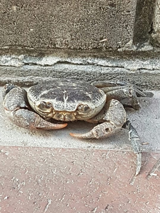 Sonstiges Hotel Panorama