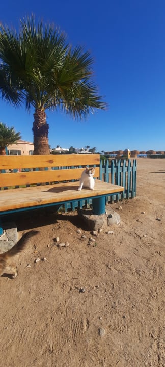 Strand Club Paradisio El Gouna, Red Sea