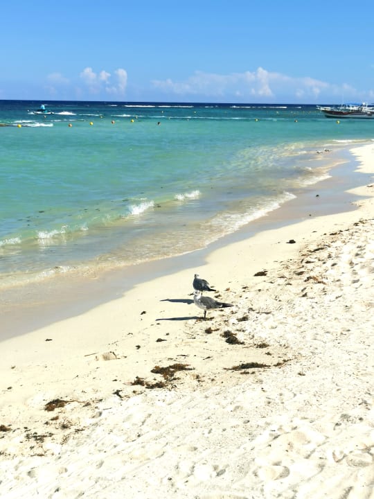 Strand Bahia Principe Grand Tulum