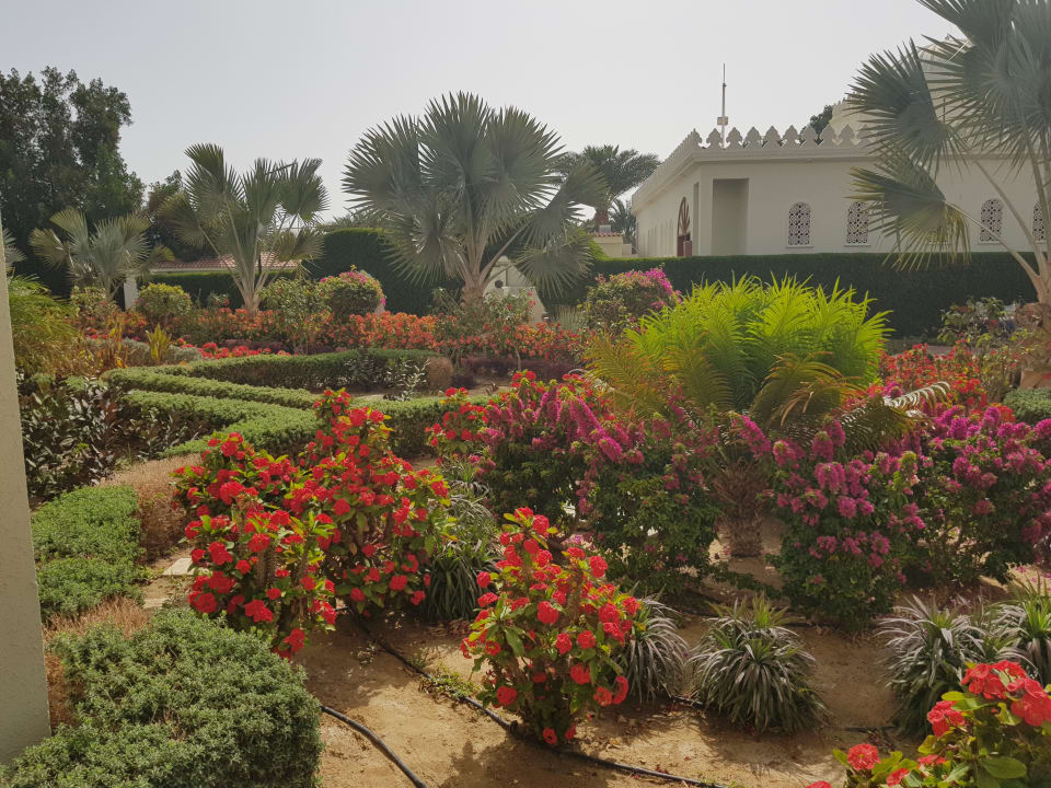 Gartenanlage Pickalbatros Dana Beach Resort - Hurghada