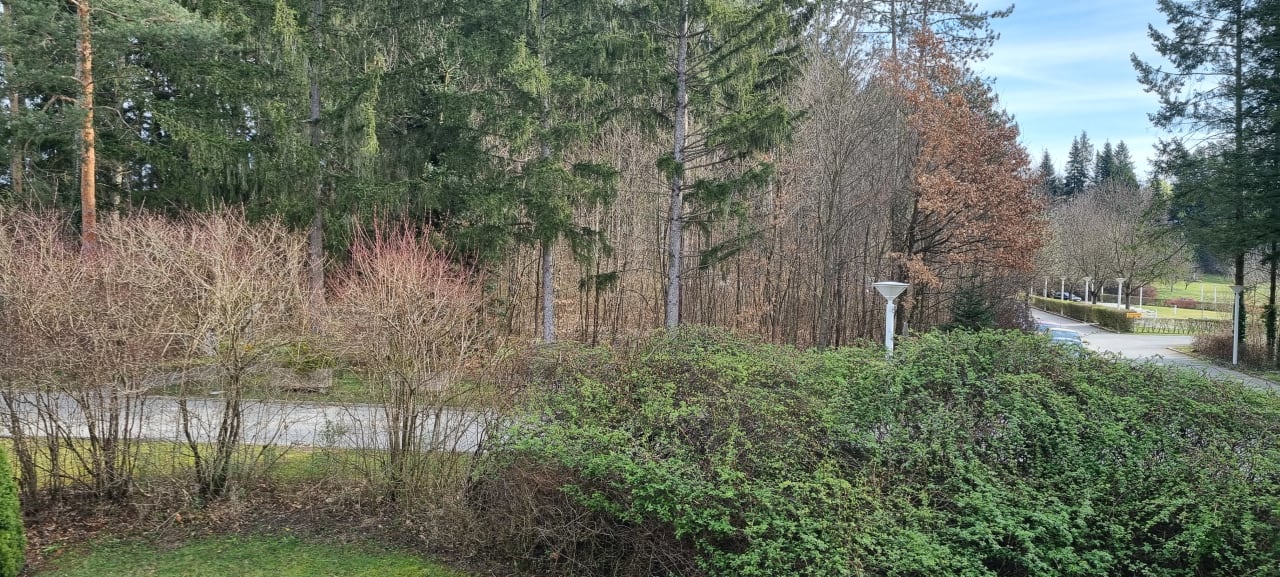 Ausblick Reduce Hotel Vital Bad Tatzmannsdorf