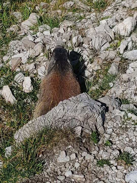 Gartenanlage Bauernhof Haus Waldesruh