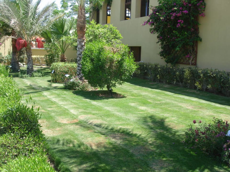 Garten Jaz Makadi Gardens - TUI BLUE Makadi Gardens - Adults Friendly 16 Years Plus