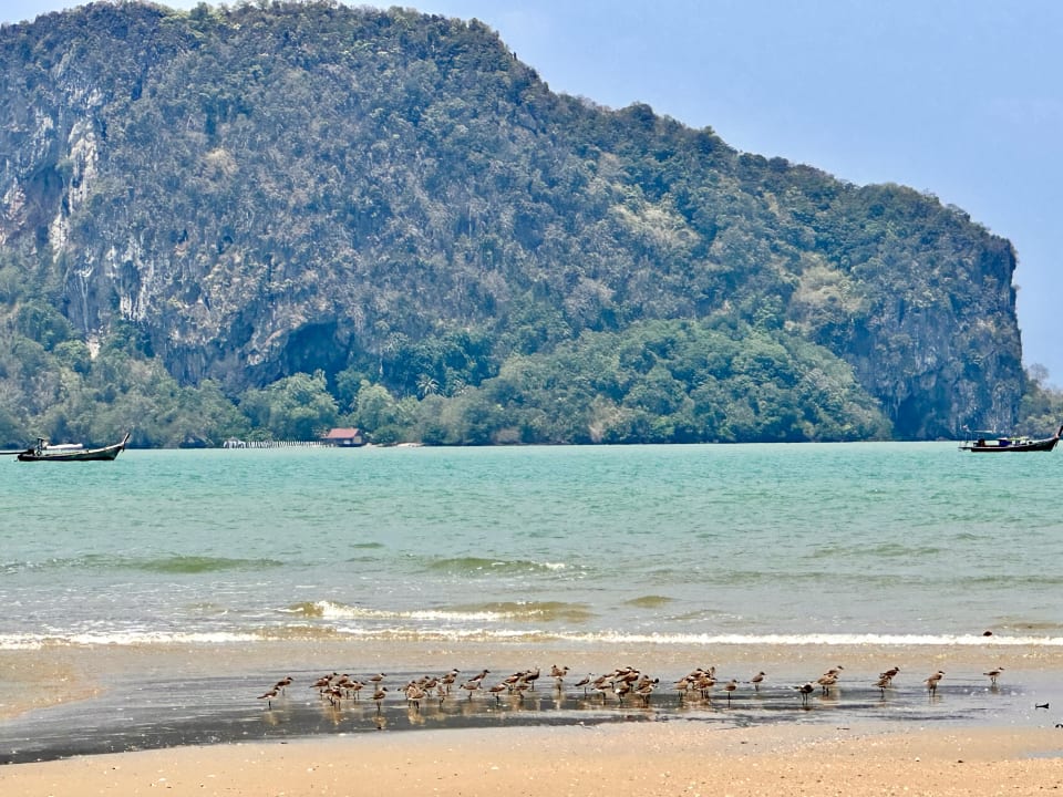 Strand Koh Yao Yai Village