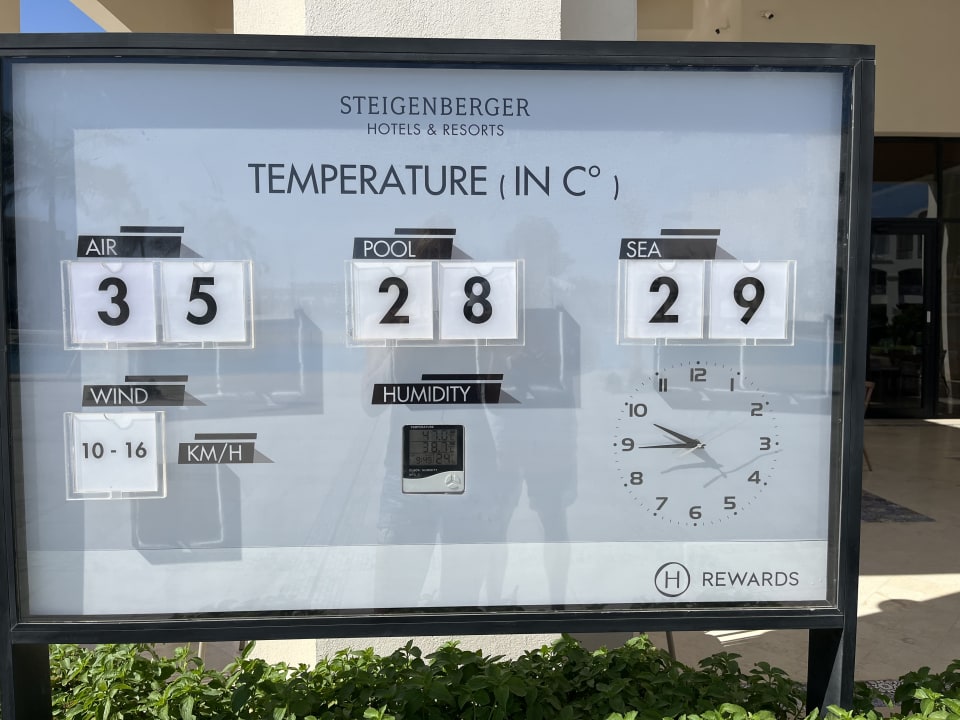 Pool Steigenberger Resort Alaya Marsa Alam - Red Sea - Adults only