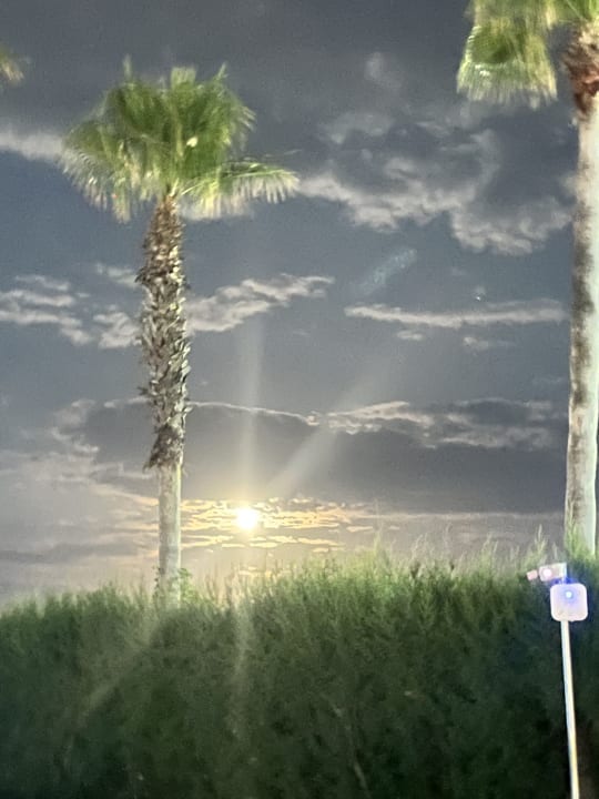 Strand Wyndham Garden Lara