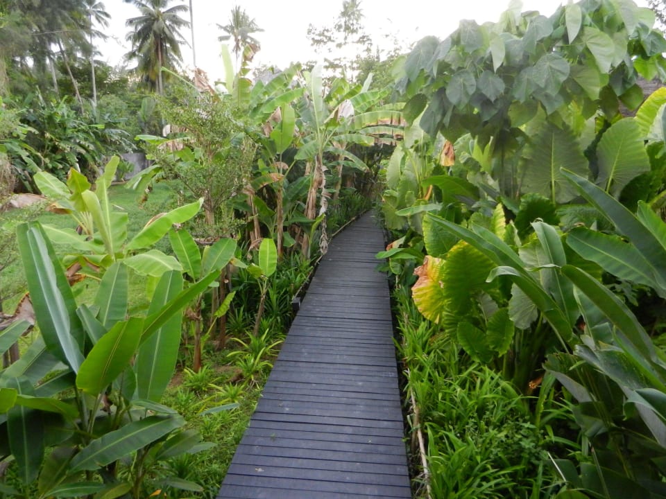 Zugang vom Hoteleingang zur Lobby Bangsak Village