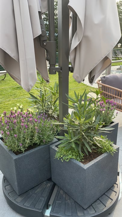 Gartenanlage Hotel Lavendel