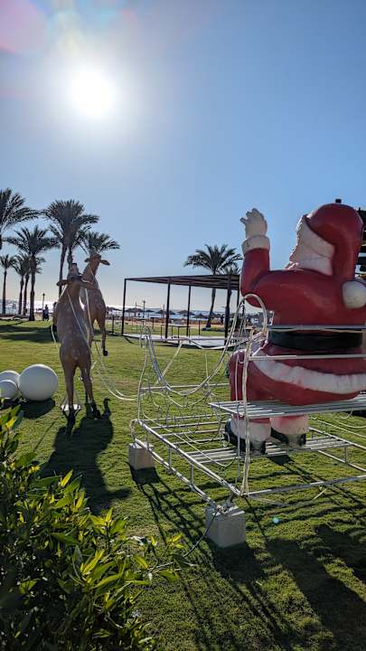 Ausblick Pickalbatros Palace Hotel-Port Ghalib