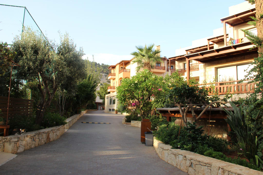 Gartenanlage Cactus Beach