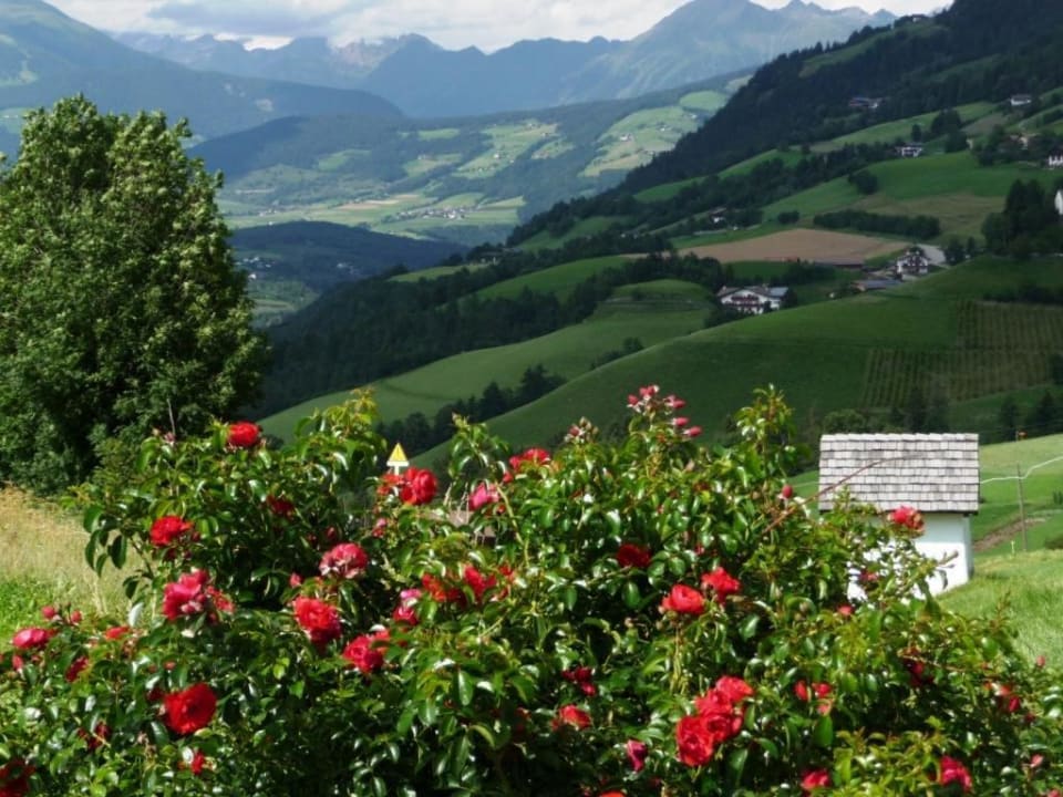 Blick vom Nachbardorf aufs Hotel Hotel Torgglerhof