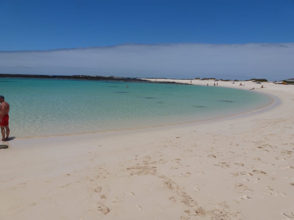 Traumstrand in Cotillo Servatur Alameda de Jandía