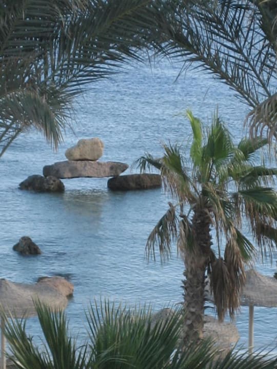 Blick von Zimmer 5113 Pickalbatros Citadel Resort