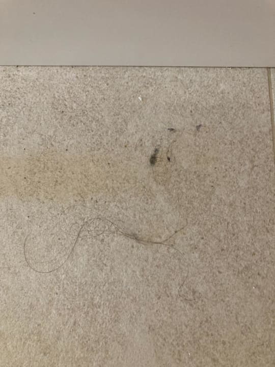 Zimmer Aparthotel Fontanellas Playa