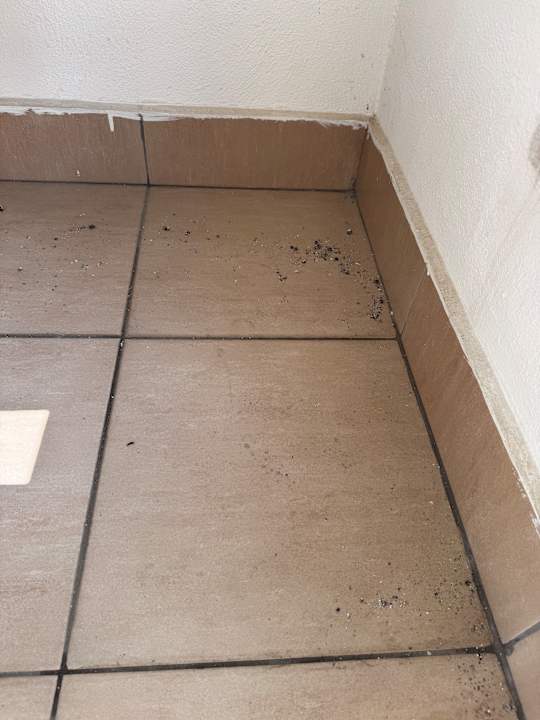 Zimmer Well Palace Side