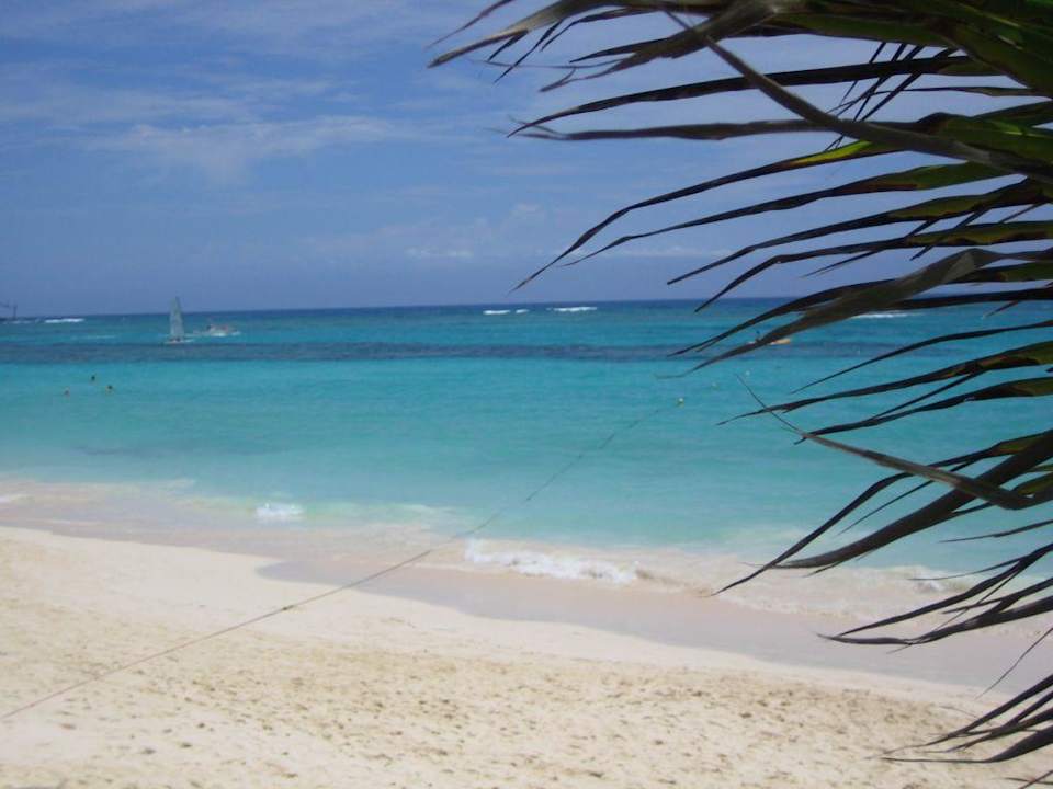 Hotelstrand- Strandbereich Hotel Riu Palace Bavaro