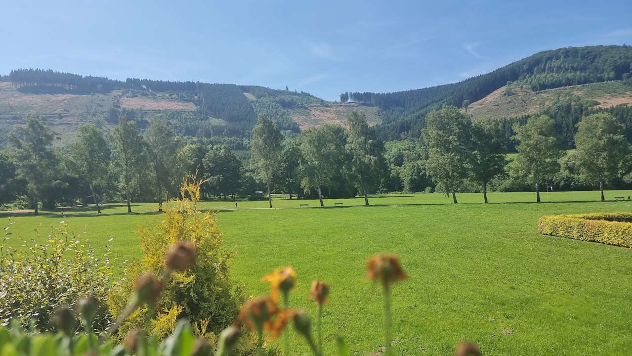 Ausblick Ferienwohnung Kurparkblicksauerland