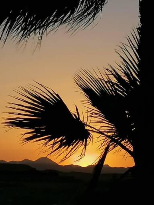 Gartenanlage Three Corners Sea Beach Resort