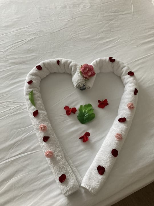 Zimmer Well Palace Side