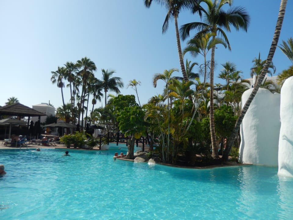 Pool Dreams Jardín Tropical