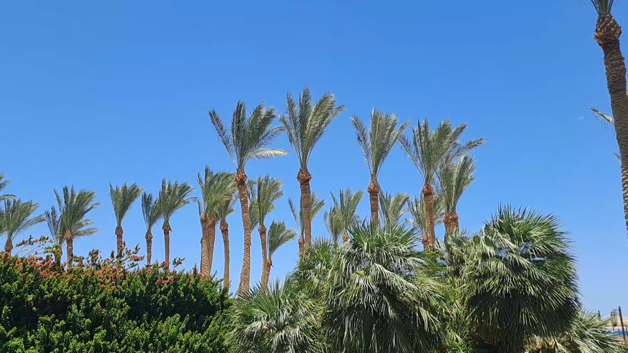 Gartenanlage Grand Makadi
