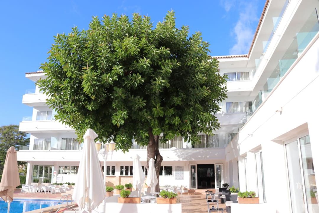 Gartenanlage THB Dos Playas - Adults only