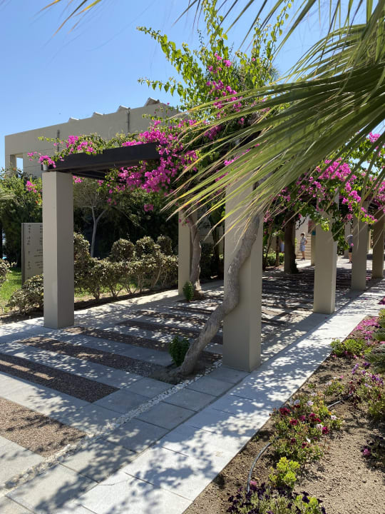 Außenansicht Astir Odysseus Kos Resort & Spa