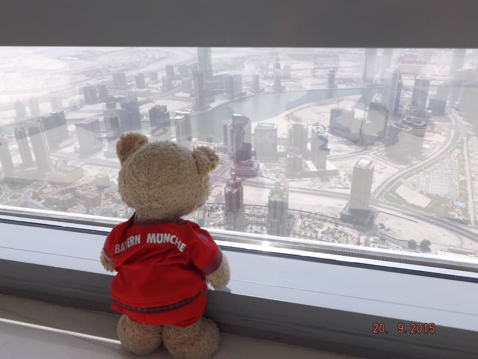 Was für ein Blick ( Schnuckl ) Rixos The Palm Hotel & Suites