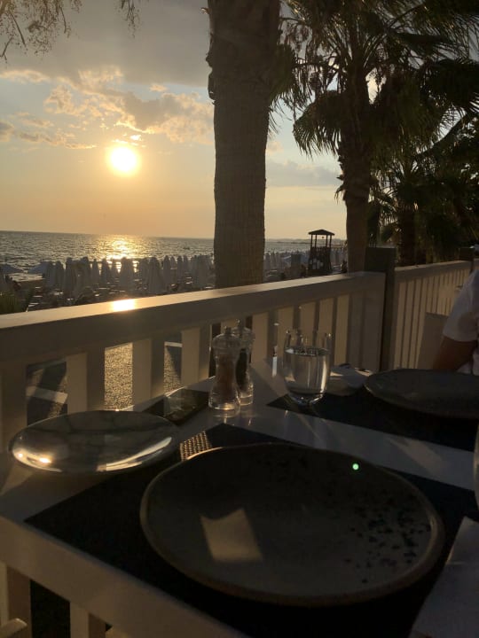 Gastro Acanthus Cennet Barut Collection