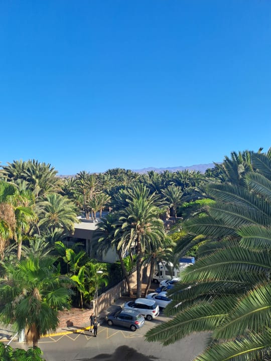 Ausblick Hotel Riu Palace Oasis