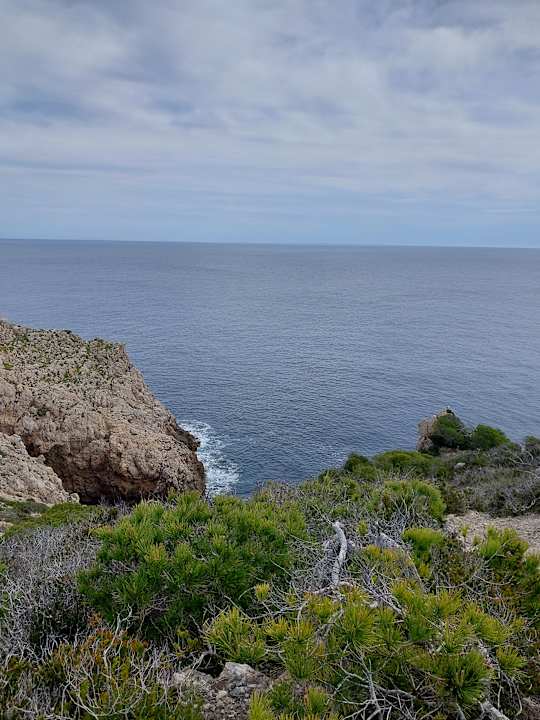 Ausblick VIVA Cala Mesquida Suites & Spa 16+