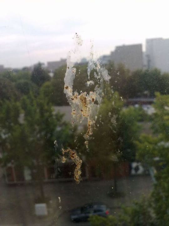 Ein Blick aus dem Fenster auf Vogelkot! Hotel Nevada Hamburg